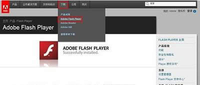 Flash Player