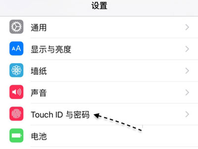 ios96λĲ跽Touch ID 