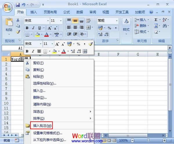 Excel2007ͼƬע 