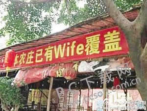 wifeʲô˼