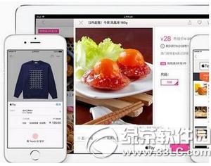 apple pay޷ӿô apple payӲп