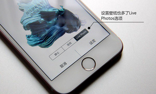 iPhone7ôLive Photos_iPhone7رLive Photos