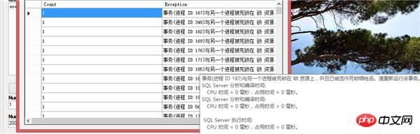 SQL Serverھ͸½̽_MsSql