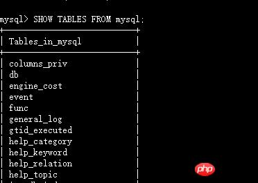 MySQL数据表的创建、查看、插入案例详细说明