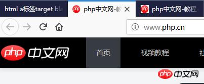 
HTML aǩtarget blankʹ÷ϸ˵
