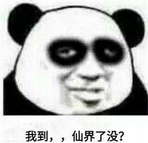 ˺ȦDƬز_˺ȦЩDƬز